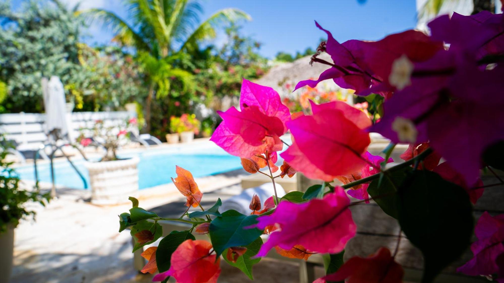 Boutique Hotel Las Flores Punta Cana Exterior photo